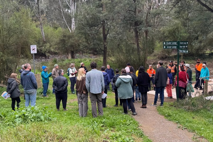 Learning from country at our largest suburban billabong, Bolin Bolin at Bulleen. The Narrap Rangers leading the group are wearing the high viz jackets.