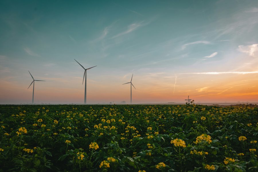 Wind turbines on sunset horizon. Photo by Tim van der Kuip on Unsplash